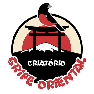 Criatório Grife Oriental Curió Praia Clássico Arujá/SP